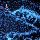 Illustration for article titled Worm regenerates a whole new body from a single cell